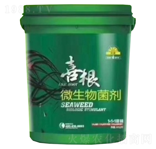 ΢�������-ϲ��-���r�A