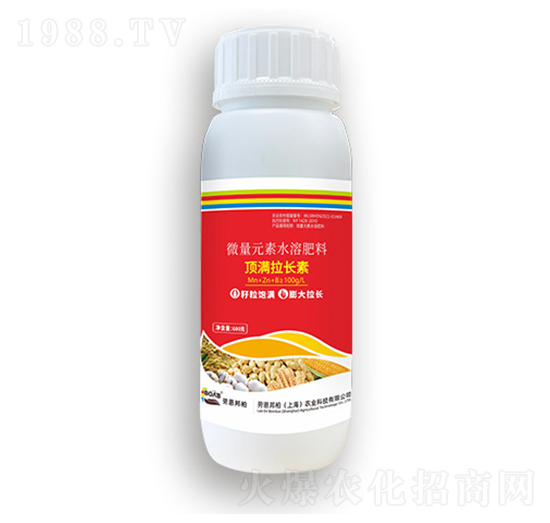 頂滿(mǎn)拉長(zhǎng)素-勞恩邦柏