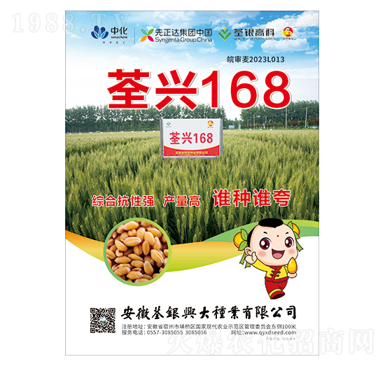 С���N��-���d168-���y�d��