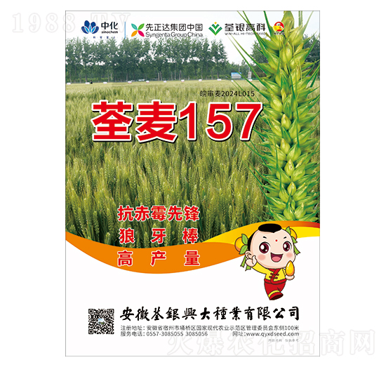 С���N��-����157-���y�d��