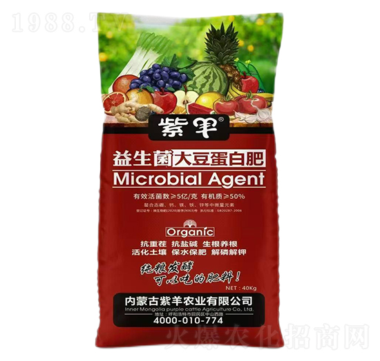 �������󶹵��׷�-���r