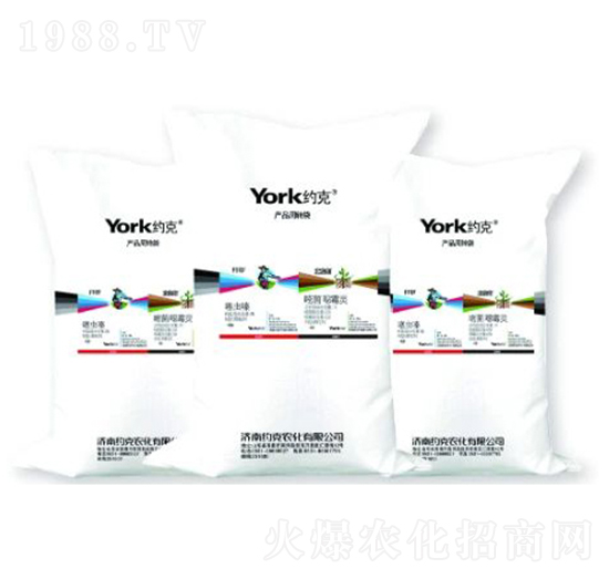 3%���x��w����+1%�׾����fù�`�w����-�_��+������-�s���r��