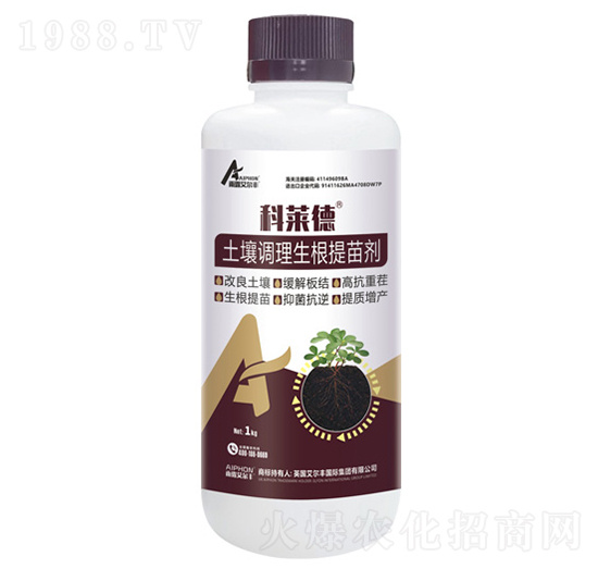 �����{���������焩-���R��-��¶�����S