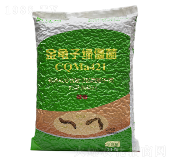 �����ӾG����CQMa421�w����-����������