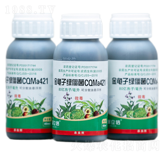 �����ӾG����CQMa421�͑Ҹ���-����������