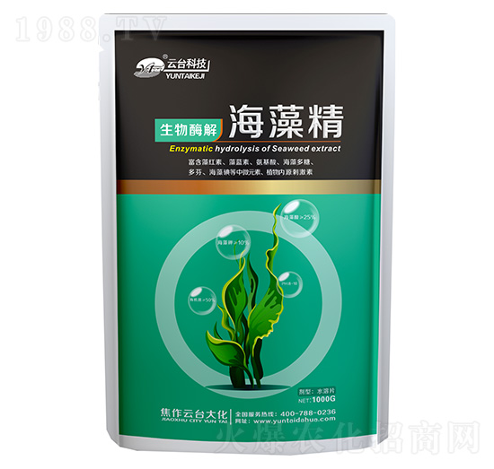 ���徫-���_��