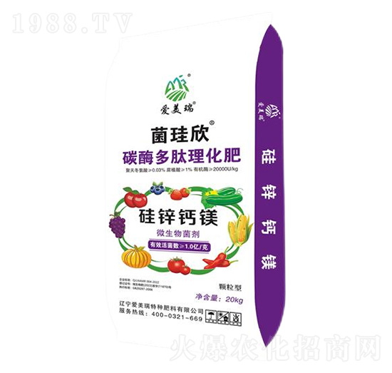 ���\�}�V̽÷����������-������-������