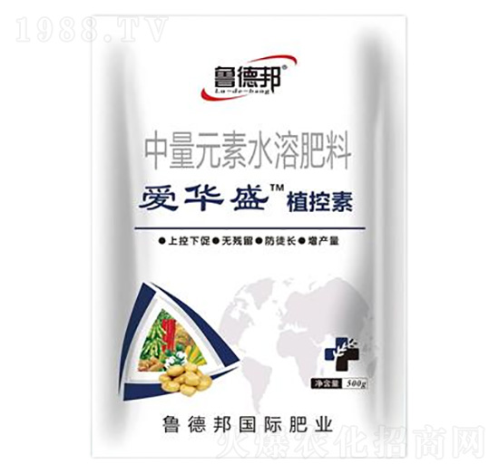 ����Ԫ��ˮ�ܷ���-��(��i)�Aʢ��ֲ����-��?sh��)°? style=