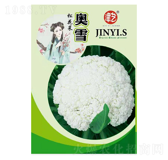 ���˷N��-�Wѩ-���S�r�I(y��)