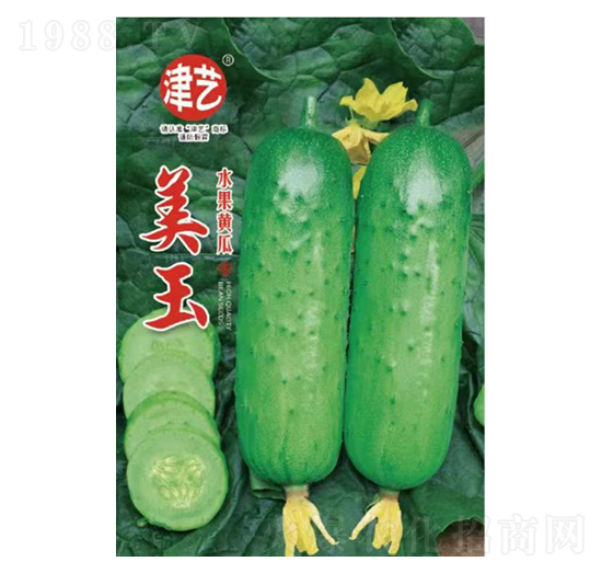 �S�ϷN��-����-���S�r�I(y��)