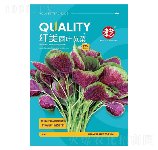 �{�˷N��-�t���A�~�{��-���S�r(n��ng)�I(y��)