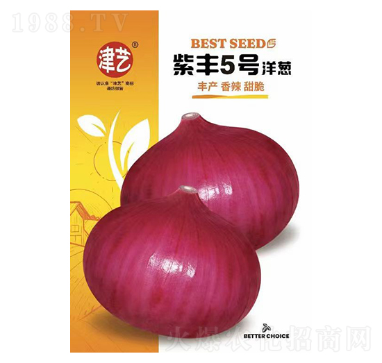 洋蔥種子-紫豐5號洋蔥-邯豐農(nóng)業(yè)