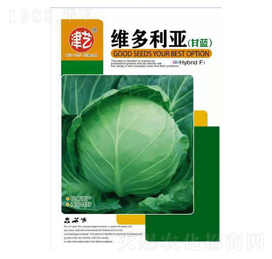 ���{�N��-�S������-���S�r(n��ng)�I(y��)