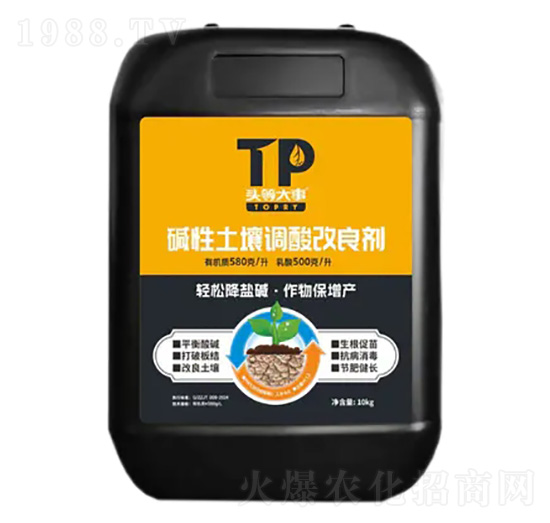 �A�������{�������-�^�ȴ���-��������