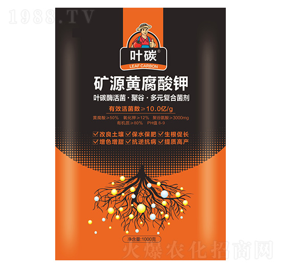 �VԴ�S�����-�~̼-���A�r�I(y��)