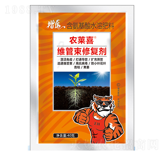 �S�����ޏ̈́�-�r(n��ng)�Rϲ-���A�r(n��ng)�I(y��)