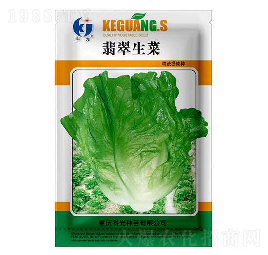 �������-�ƹ�N��