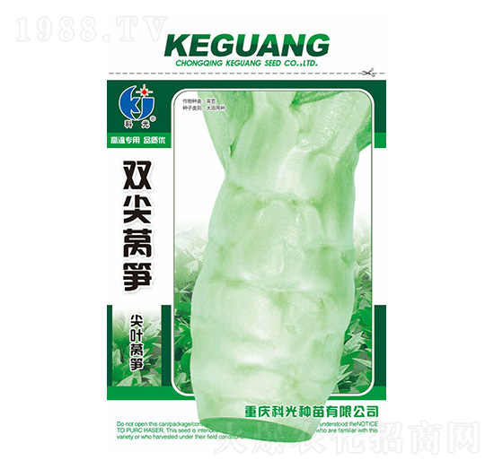 �p���n�S-�ƹ�N��