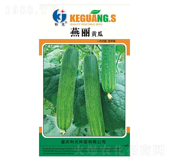 �����S��-�ƹ�N��