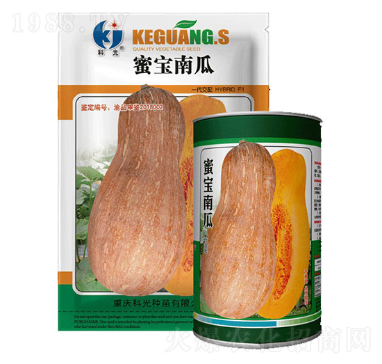 �ی��Ϲ�-�ƹ�N��