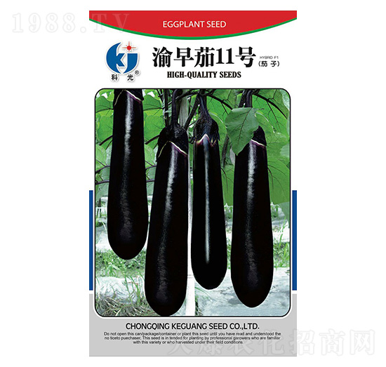 ������11̖-�ƹ�N��