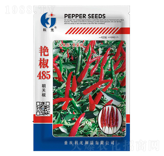 �G��485-�ƹ�N��