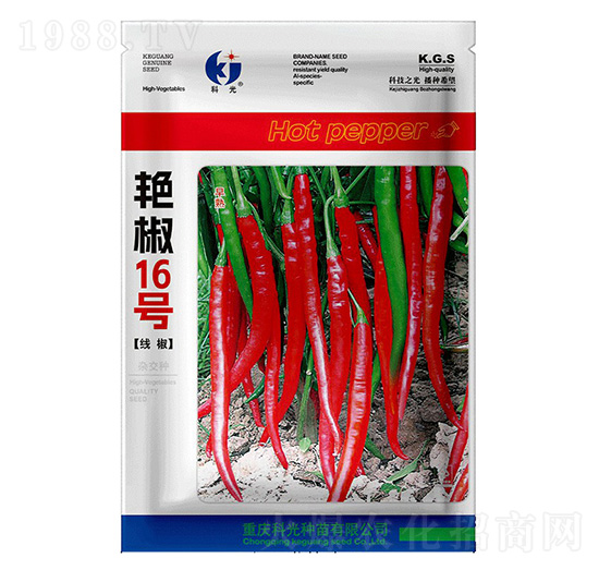 �G��16̖(h��o)-�ƹ�N��