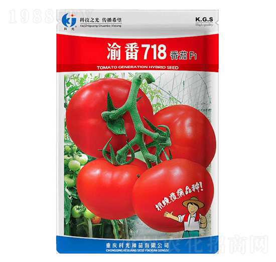 �巬718-�ƹ�N��