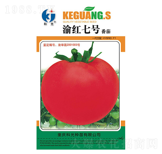 ��t7̖(h��o)-�ƹ�N��