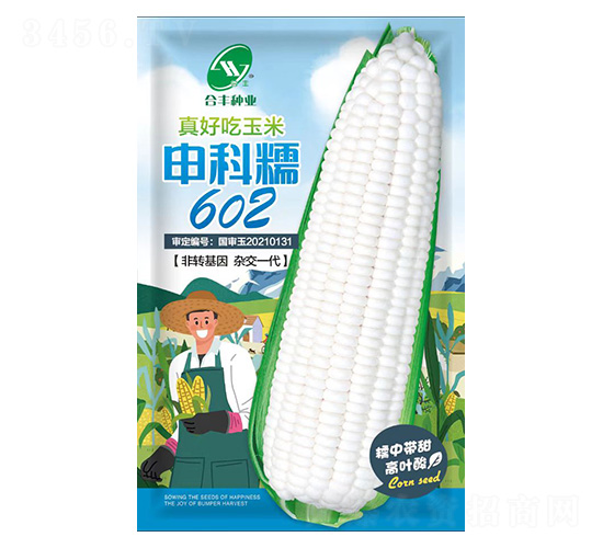 ���Ŵ602-���S�N�I(y��)