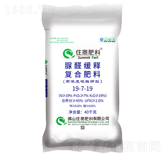 ������͏ͺϷ���19-7-19-ס�̷���