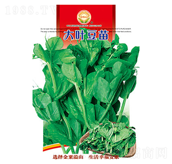 ���~����-̫���N�I(y��)