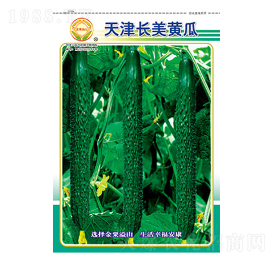 �S�ϷN��-����L(zh��ng)���S��-̫��(l��)�N�I(y��)