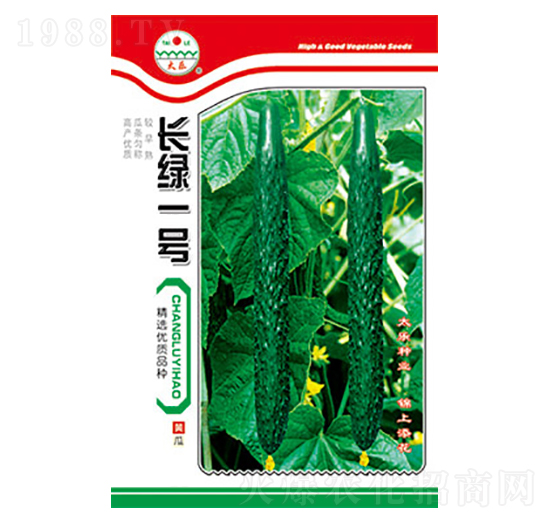 黃瓜種子-長春一號-太樂種業(yè)