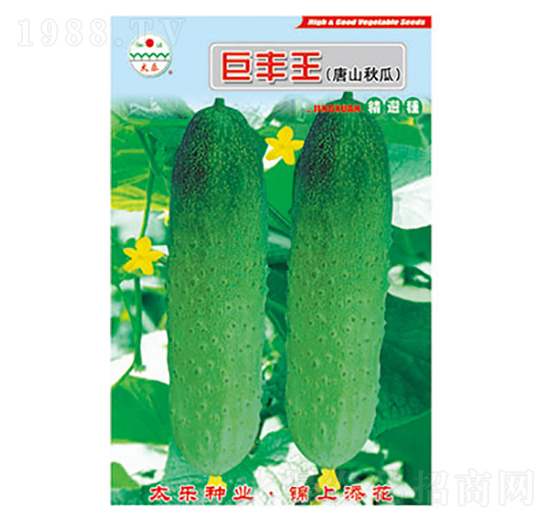 �S�ϷN��-���S��-̫��(l��)�N�I(y��)