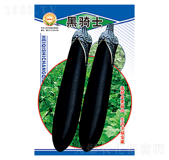 ���ӷN��-���Tʿ-̫��(l��)�N�I(y��)