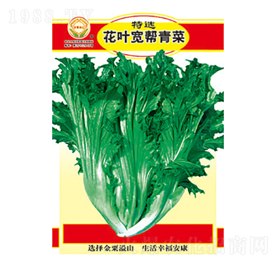 ��˷N��-���x���~�������-̫���N�I(y��)