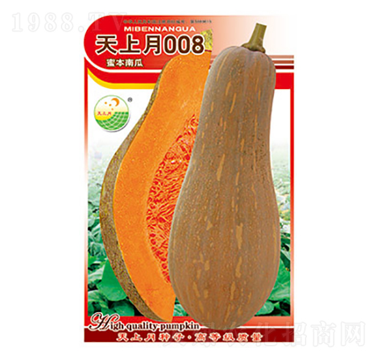 �ϹϷN��-������008-̫��(l��)�N�I(y��)