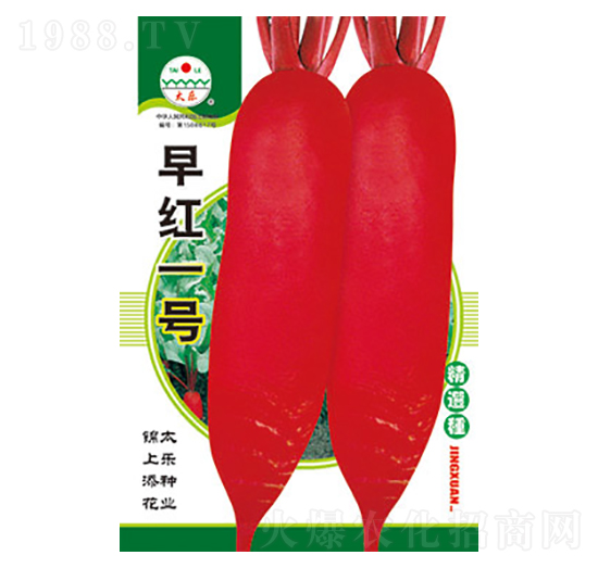 �}���N��-��tһ̖(h��o)-̫���N�I(y��)