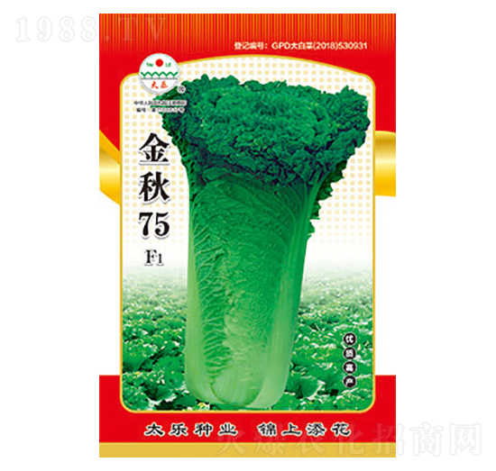 �ײ˷N��-����75-̫��(l��)�N�I(y��)