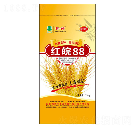 �t��88С���N��-�S���r(n��ng)�I(y��)