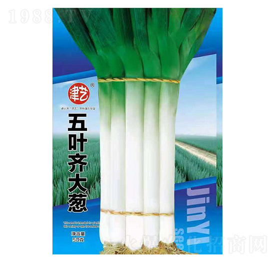 ���[�N��-���~�R���[-���S�r�I(y��)