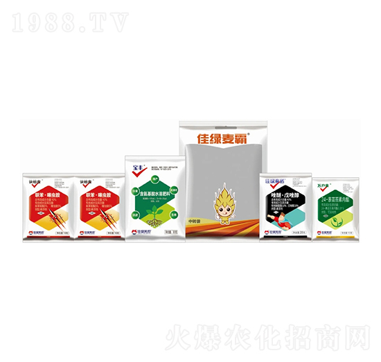 С�����x(ch��ng)����Q����-�ѾG����-�����