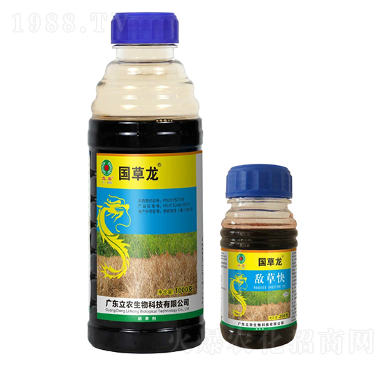 20%���ݿ�-������-�V�|���r