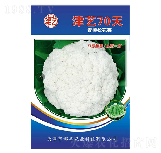 ���˷N��-��ˇ70��-���S�r�I(y��)