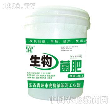 ����-�������