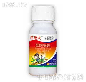 40/升煙嘧磺隆-苗老大-泰陽