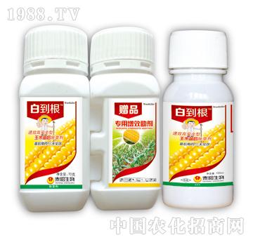 �׵���-̩�