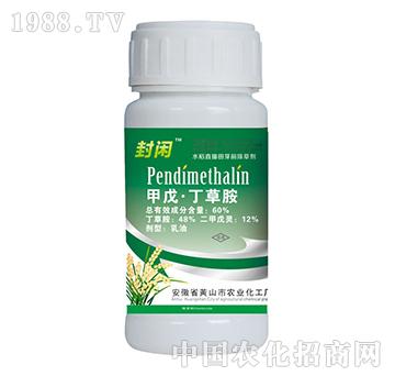 60%���춡�ݰ�-���e-�{(l��n)���r(n��ng)�I(y��)