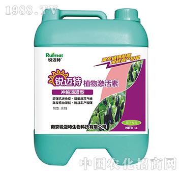 ֲ�Ｄ���؛_ʩ�ι���-